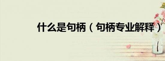 什么是句柄（句柄专业解释）