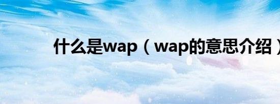什么是wap（wap的意思介绍）