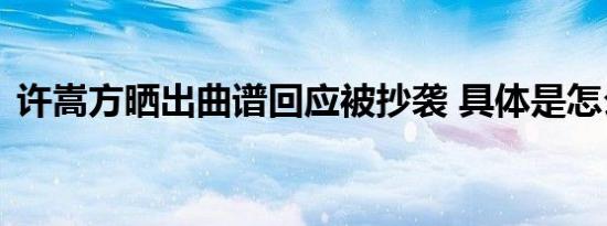 许嵩方晒出曲谱回应被抄袭 具体是怎么说的