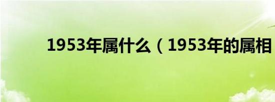 1953年属什么（1953年的属相）