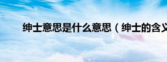 绅士意思是什么意思（绅士的含义）