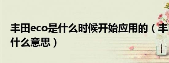 丰田eco是什么时候开始应用的（丰田eco是什么意思）