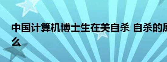 中国计算机博士生在美自杀 自杀的原因是什么