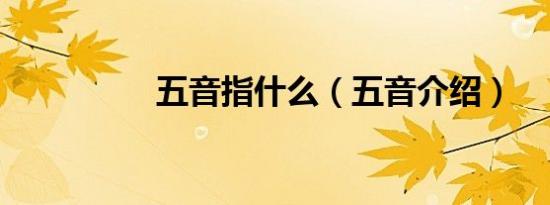 五音指什么（五音介绍）