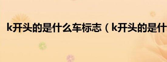 k开头的是什么车标志（k开头的是什么车）