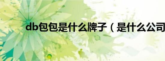 db包包是什么牌子（是什么公司）