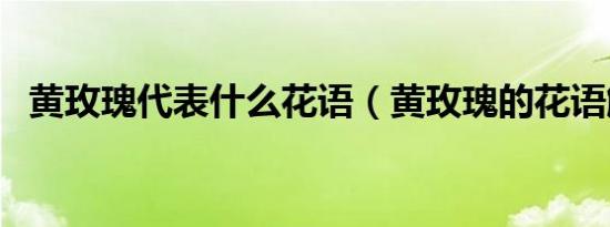 黄玫瑰代表什么花语（黄玫瑰的花语解释）