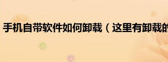 手机自带软件如何卸载（这里有卸载的方法）