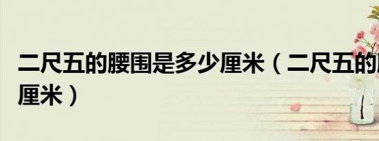 二尺五的腰围是多少厘米（二尺五的腰围是几厘米）