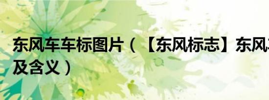 东风车车标图片（【东风标志】东风车标图片及含义）