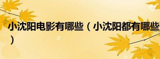 小沈阳电影有哪些（小沈阳都有哪些影视作品）