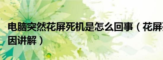 电脑突然花屏死机是怎么回事（花屏死机的原因讲解）