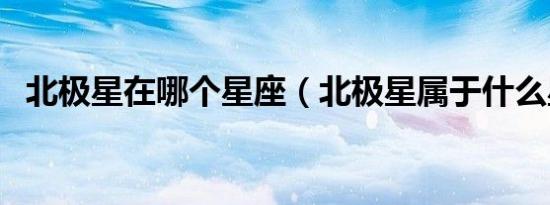 北极星在哪个星座（北极星属于什么星座）