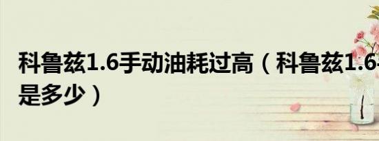 科鲁兹1.6手动油耗过高（科鲁兹1.6手动油耗是多少）