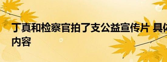 丁真和检察官拍了支公益宣传片 具体是什么内容