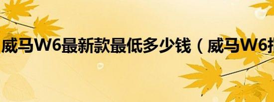 威马W6最新款最低多少钱（威马W6指导价）