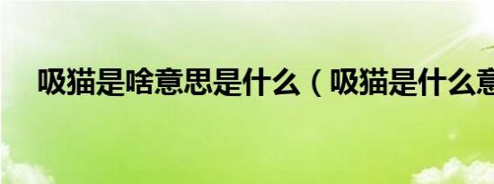 吸猫是啥意思是什么（吸猫是什么意思）