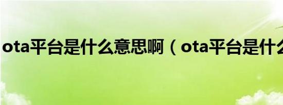 ota平台是什么意思啊（ota平台是什么意思）