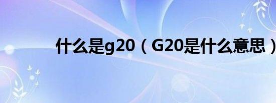 什么是g20（G20是什么意思）