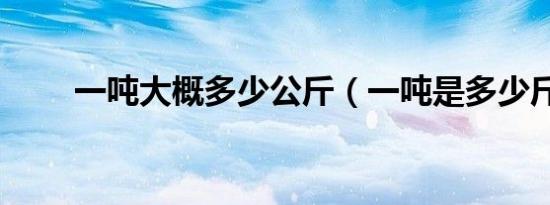 一吨大概多少公斤（一吨是多少斤）