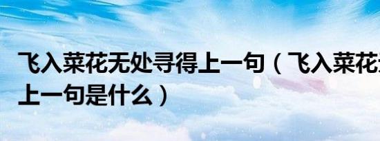 飞入菜花无处寻得上一句（飞入菜花无处寻得上一句是什么）