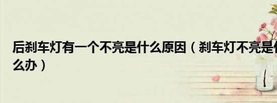 后刹车灯有一个不亮是什么原因（刹车灯不亮是什么原因怎么办）