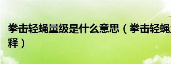 拳击轻蝇量级是什么意思（拳击轻蝇量级的解释）