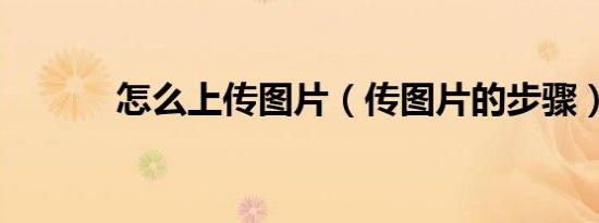 怎么上传图片（传图片的步骤）