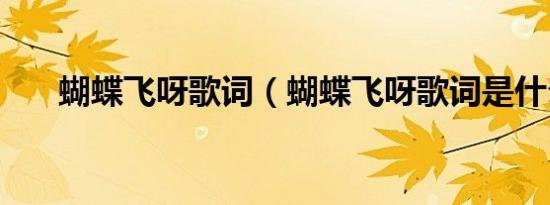 蝴蝶飞呀歌词（蝴蝶飞呀歌词是什么）