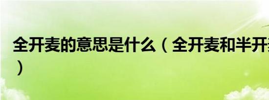 全开麦的意思是什么（全开麦和半开麦的意思）