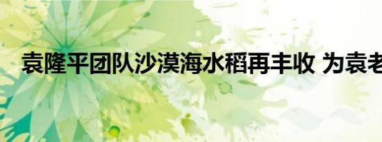 袁隆平团队沙漠海水稻再丰收 为袁老点赞