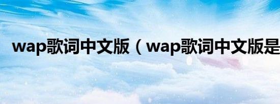 wap歌词中文版（wap歌词中文版是什么）