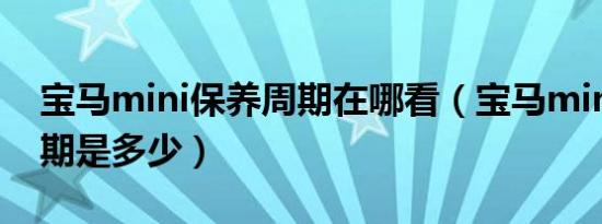 宝马mini保养周期在哪看（宝马mini保养周期是多少）