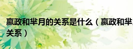 嬴政和芈月的关系是什么（嬴政和芈月的历史关系）