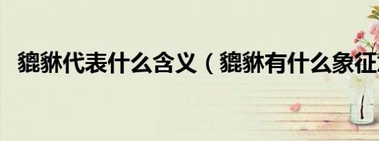 貔貅代表什么含义（貔貅有什么象征意义）