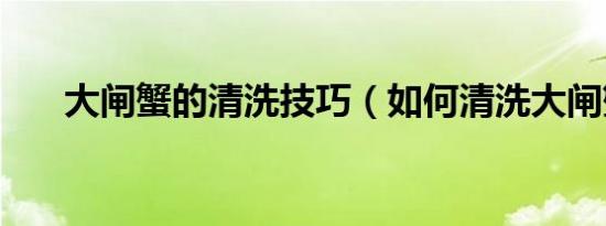 大闸蟹的清洗技巧（如何清洗大闸蟹）