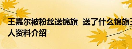 王嘉尔被粉丝送锦旗 送了什么锦旗王嘉尔个人资料介绍