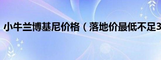 小牛兰博基尼价格（落地价最低不足300万）