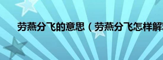劳燕分飞的意思（劳燕分飞怎样解释）