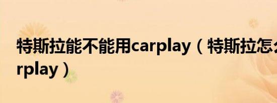 特斯拉能不能用carplay（特斯拉怎么实现carplay）