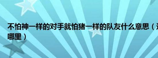 不怕神一样的对手就怕猪一样的队友什么意思（这句话出自哪里）