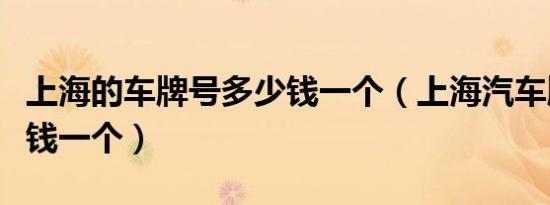 上海的车牌号多少钱一个（上海汽车牌照多少钱一个）