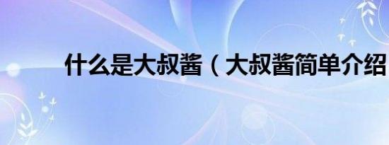 什么是大叔酱（大叔酱简单介绍）