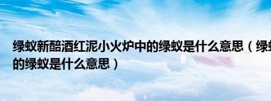 绿蚁新醅酒红泥小火炉中的绿蚁是什么意思（绿蚁新醅酒中的绿蚁是什么意思）