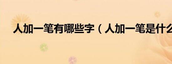 人加一笔有哪些字（人加一笔是什么字）