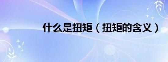 什么是扭矩（扭矩的含义）