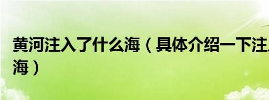 黄河注入了什么海（具体介绍一下注入了什么海）