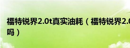 福特锐界2.0t真实油耗（福特锐界2.0t油耗高吗）