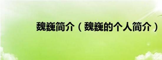 魏巍简介（魏巍的个人简介）