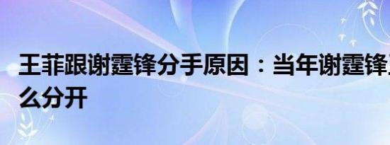 王菲跟谢霆锋分手原因：当年谢霆锋王菲为什么分开
